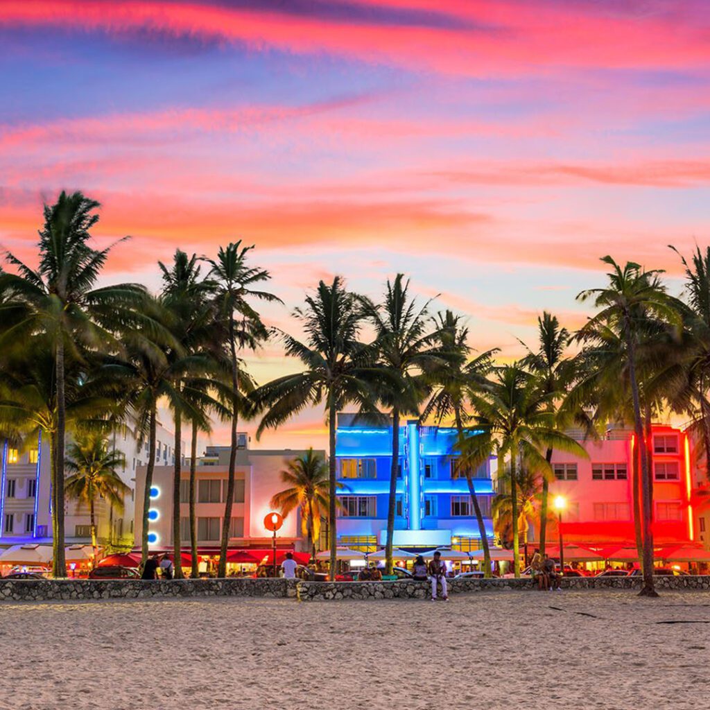 picture of Miami in sunset with trees and colorful background of buildings representing miami vibes