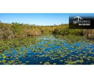 Everglades Park FL