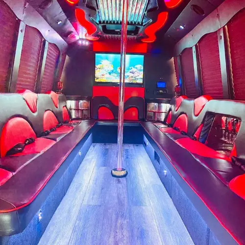 Birthday Party Bus rental in Fort Lauderdale FL 